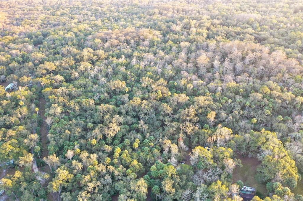 На продажу: $43,900 (1.24 acres)