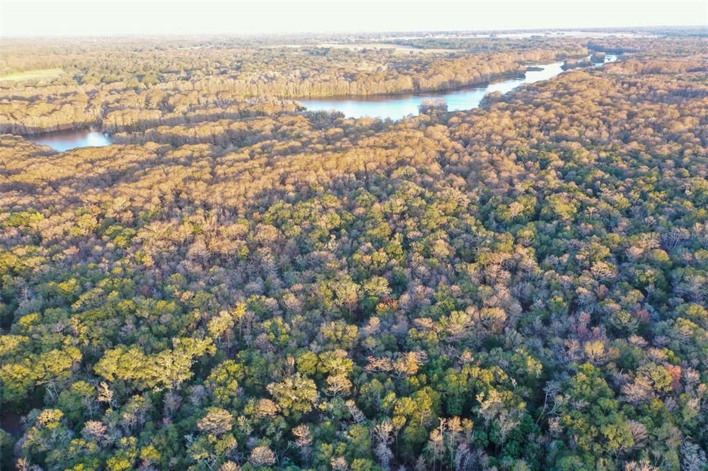 На продажу: $43,900 (1.24 acres)