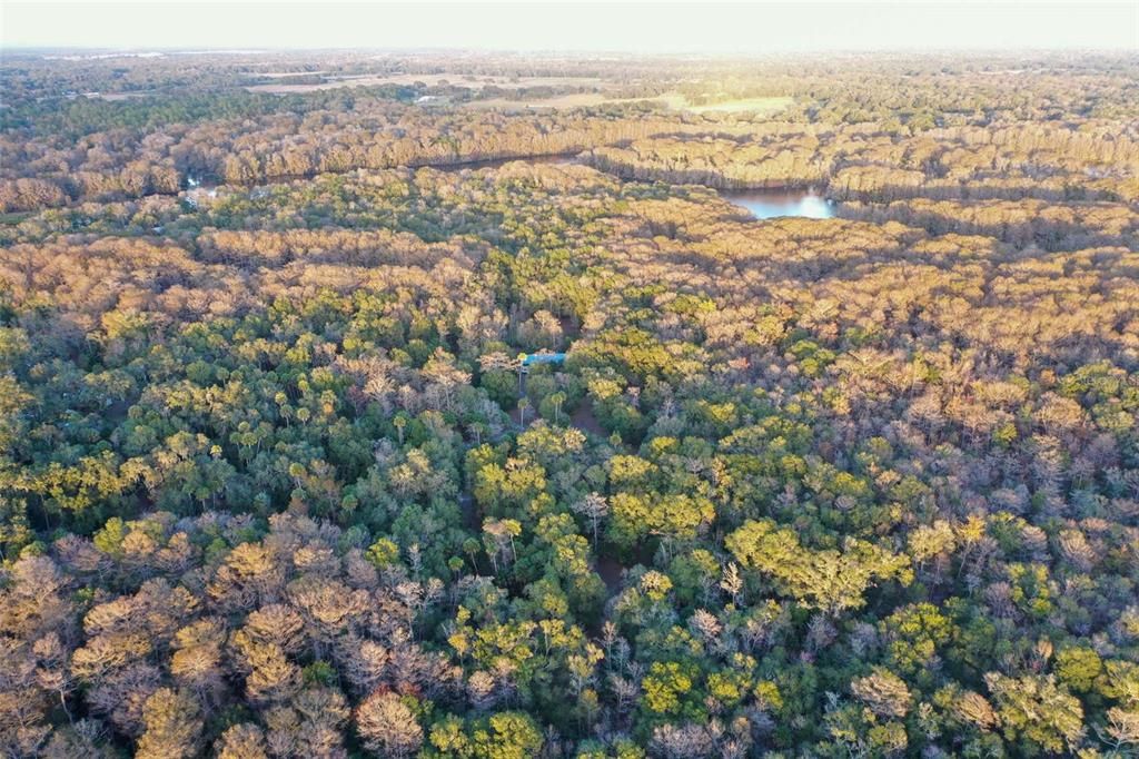 На продажу: $43,900 (1.24 acres)