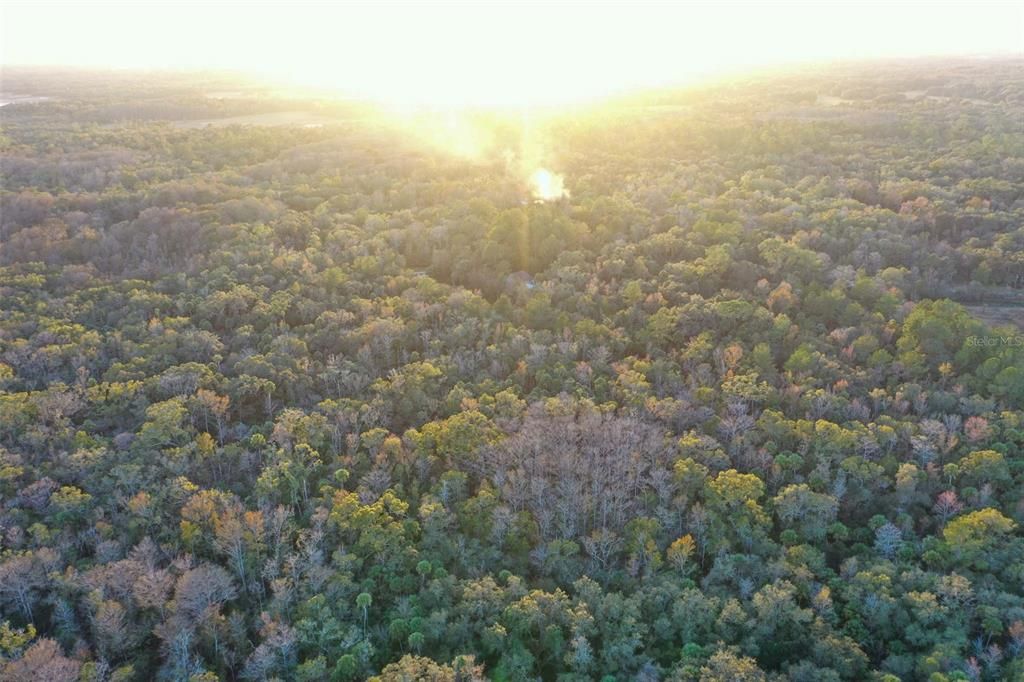 На продажу: $43,900 (1.24 acres)