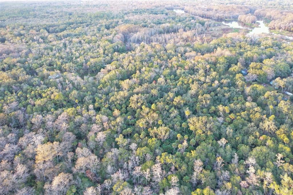 На продажу: $43,900 (1.24 acres)