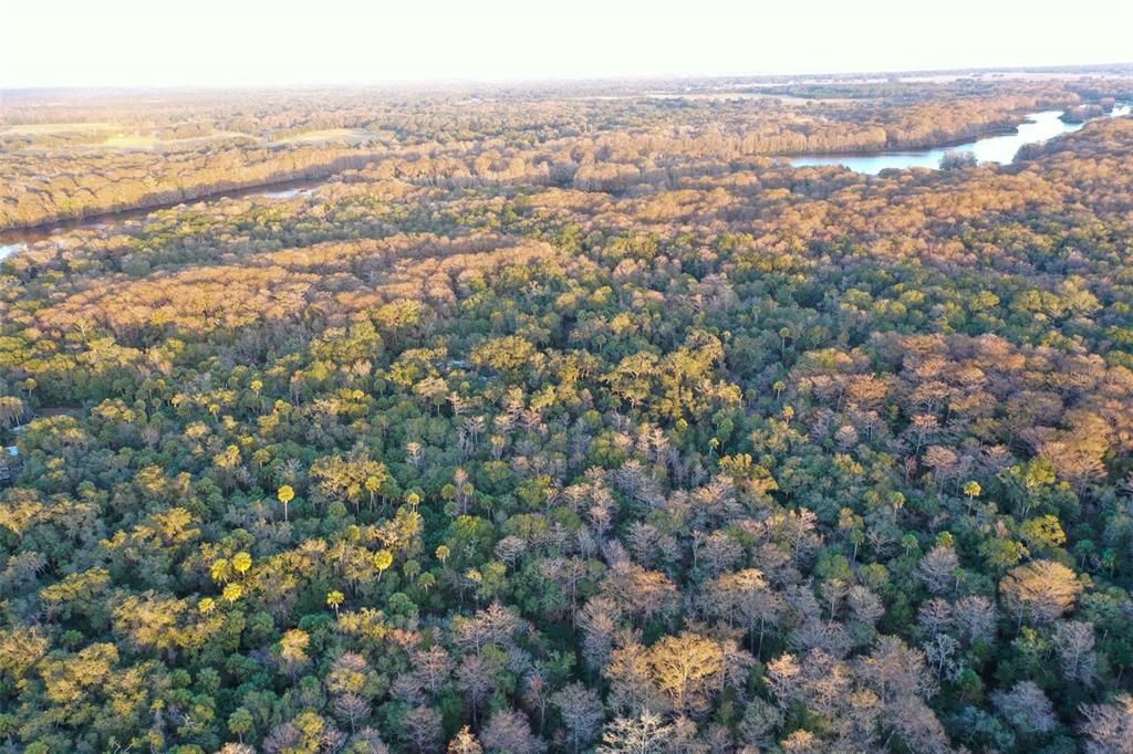 На продажу: $43,900 (1.24 acres)