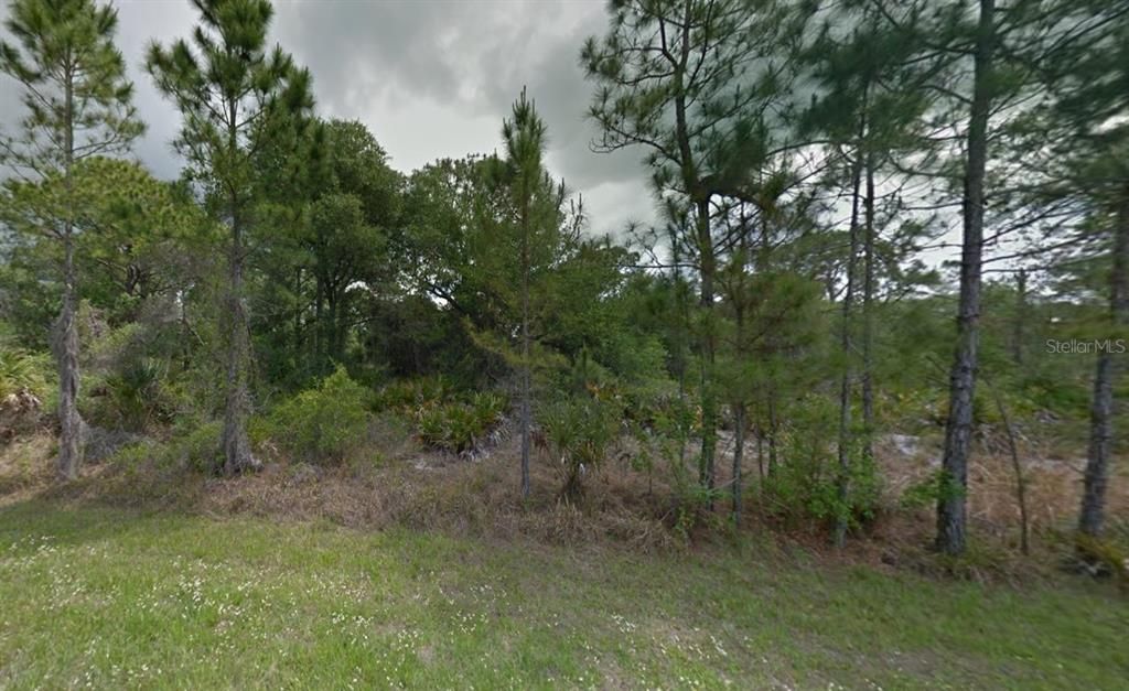 For Sale: $12,900 (0.24 acres)