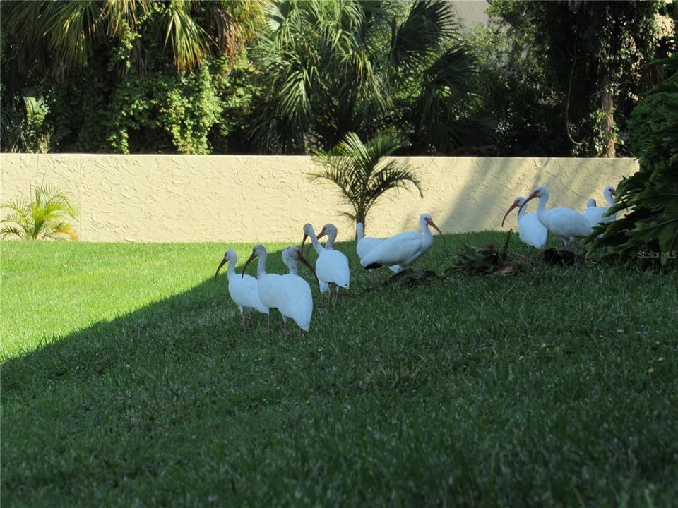 For Sale: $185,000 (2 beds, 2 baths, 910 Square Feet)