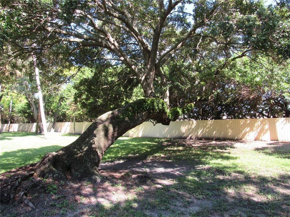 For Sale: $185,000 (2 beds, 2 baths, 910 Square Feet)