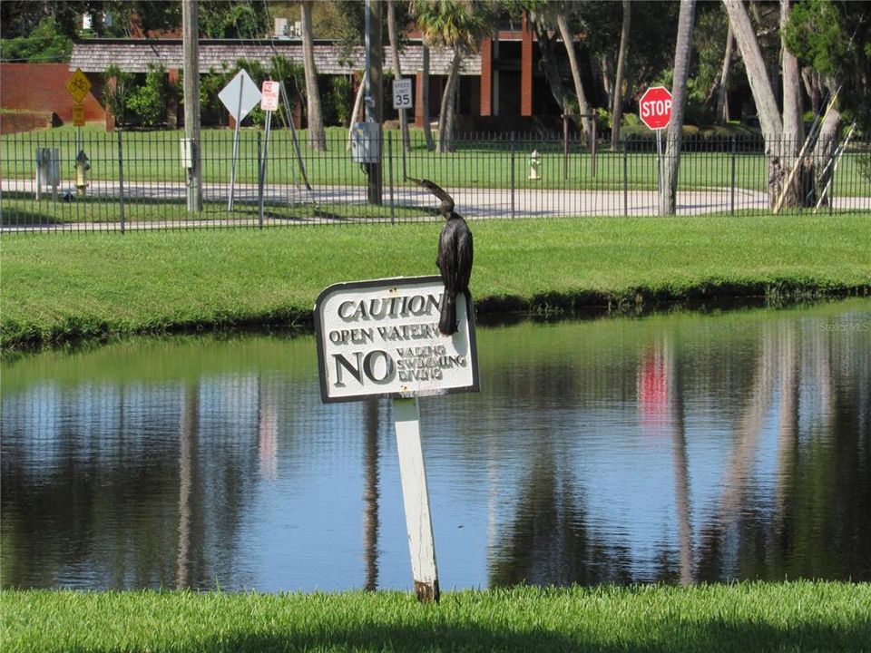 For Sale: $185,000 (2 beds, 2 baths, 910 Square Feet)