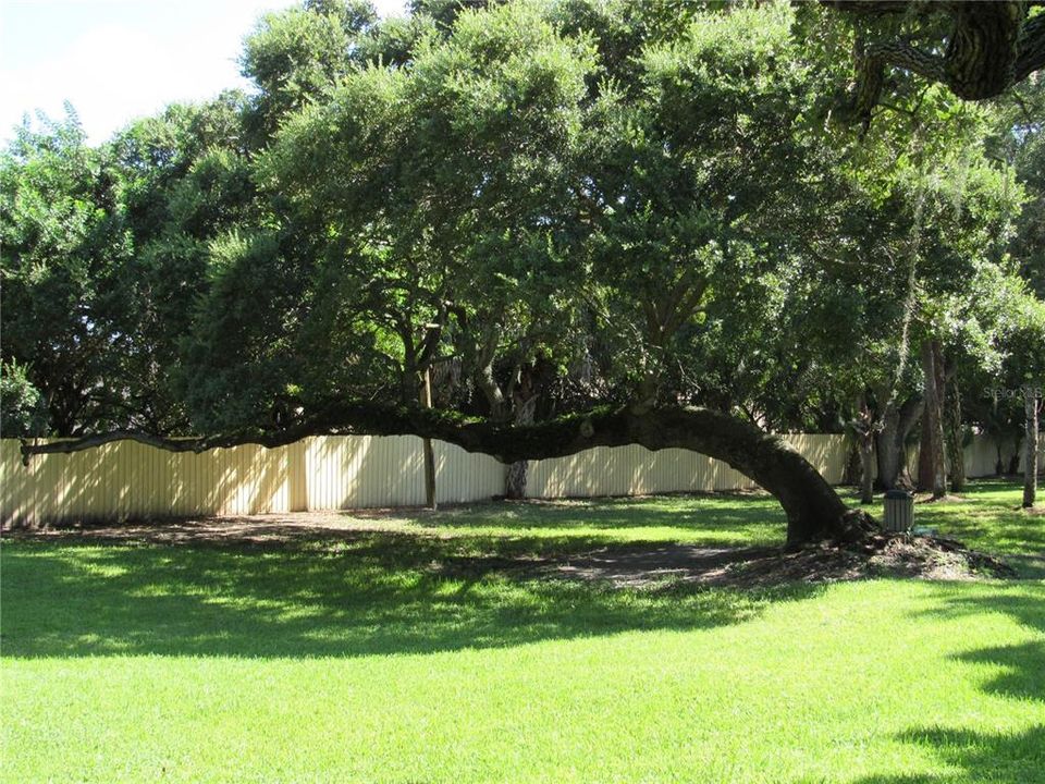 For Sale: $185,000 (2 beds, 2 baths, 910 Square Feet)