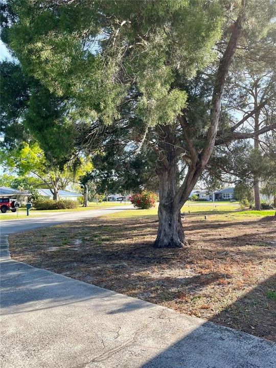 На продажу: $539,900 (4 спален, 4 ванн, 3800 Квадратных фут)