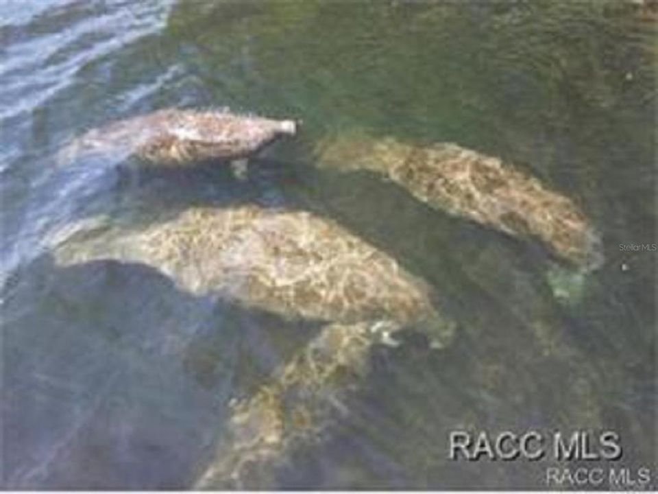 For Sale: $194,900 (2 beds, 2 baths, 1578 Square Feet)