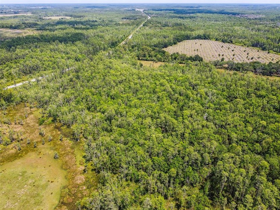 For Sale: $12,000,000 (305.77 acres)