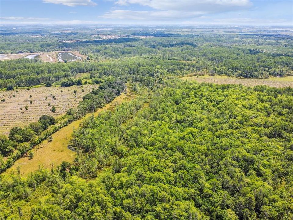 For Sale: $12,000,000 (305.77 acres)