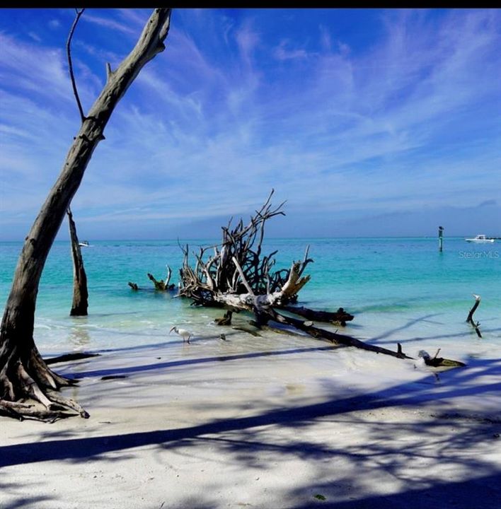 待售: $569,000 (2 贝兹, 2 浴室, 1441 平方英尺)