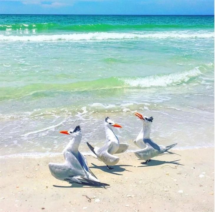 待售: $569,000 (2 贝兹, 2 浴室, 1441 平方英尺)