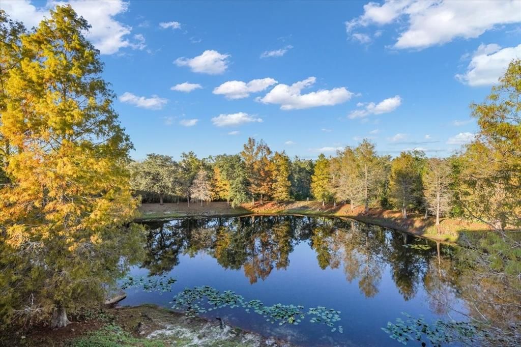 待售: $232,500 (2 贝兹, 2 浴室, 1064 平方英尺)