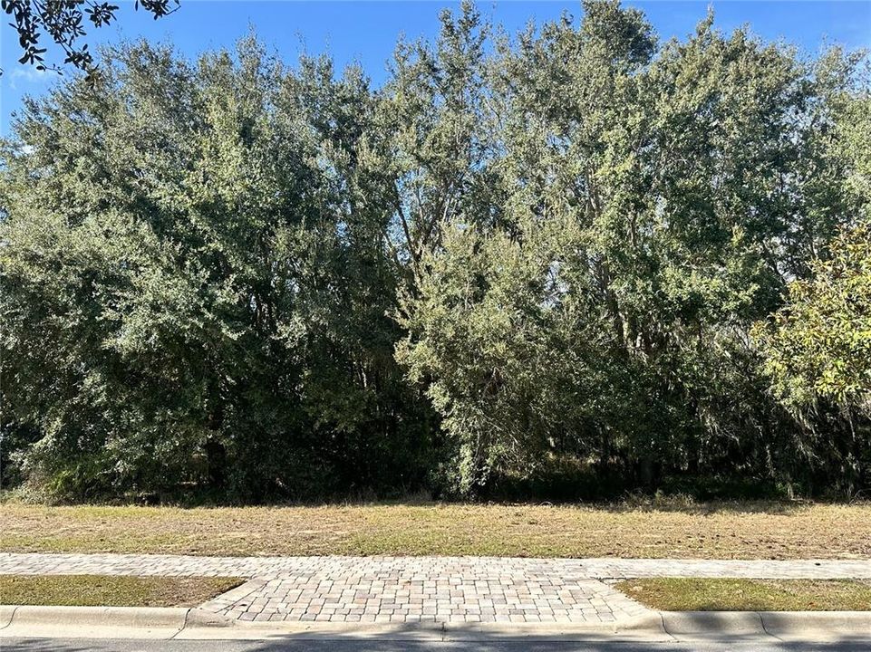 For Sale: $600,000 (1.29 acres)