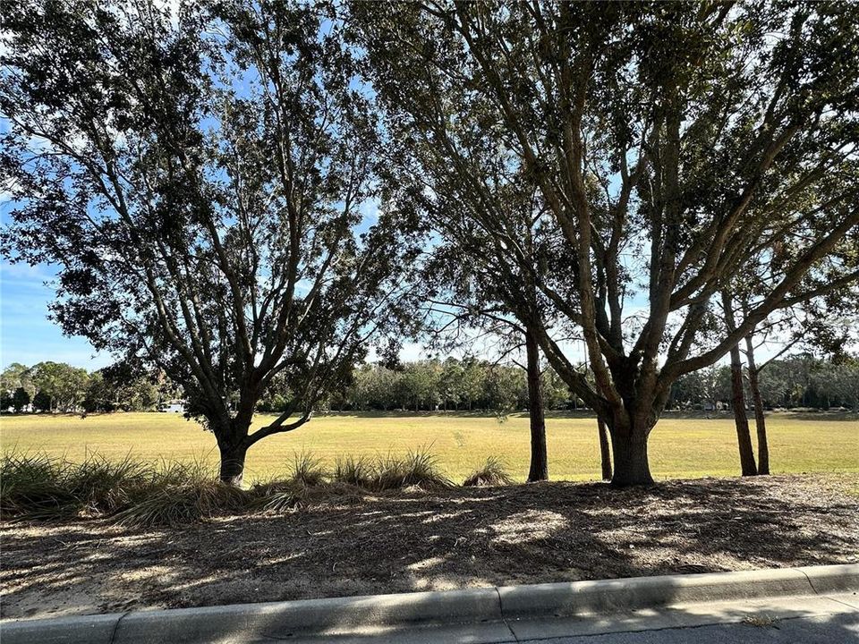 For Sale: $600,000 (1.29 acres)