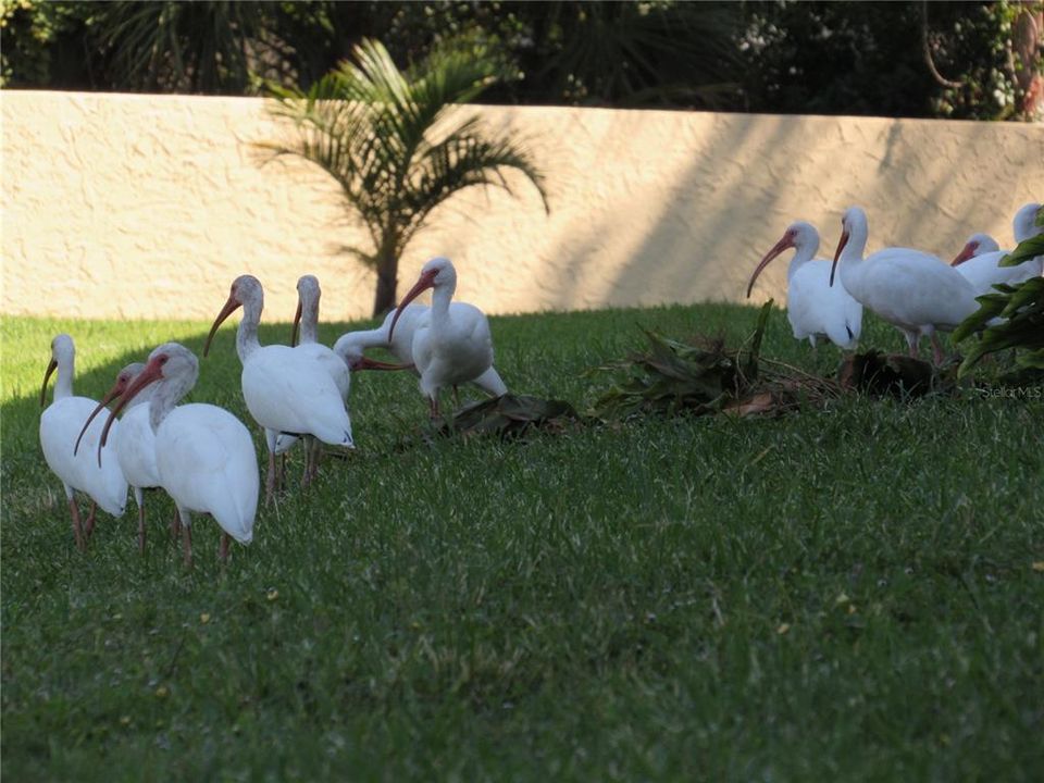 待售: $269,000 (3 贝兹, 2 浴室, 1180 平方英尺)