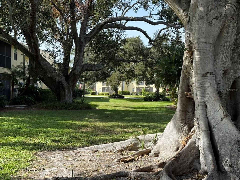 待售: $269,000 (3 贝兹, 2 浴室, 1180 平方英尺)