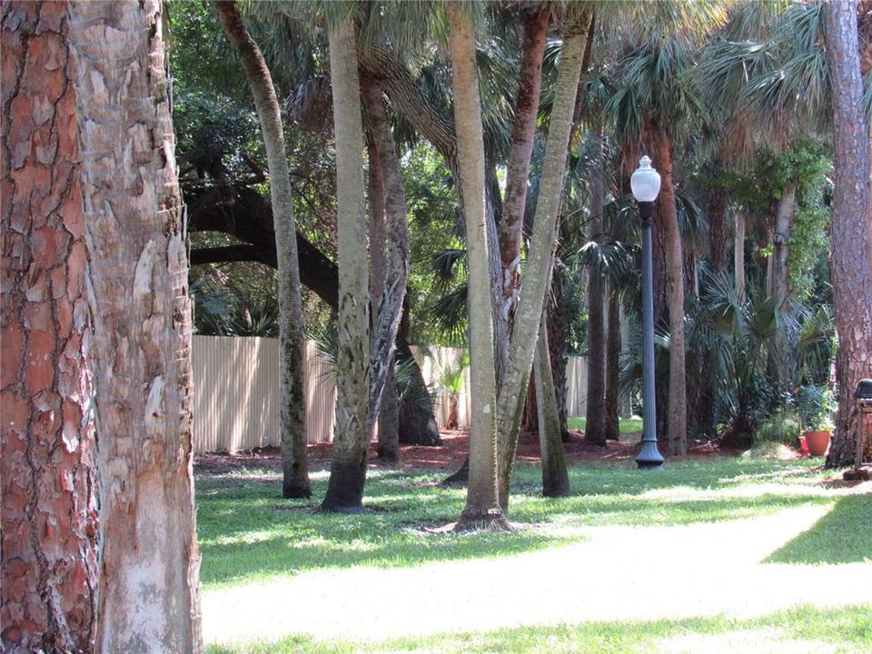 待售: $269,000 (3 贝兹, 2 浴室, 1180 平方英尺)