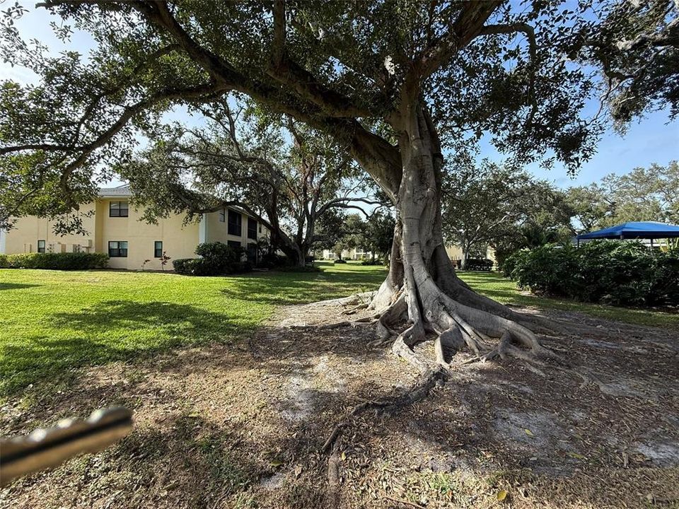 待售: $269,000 (3 贝兹, 2 浴室, 1180 平方英尺)