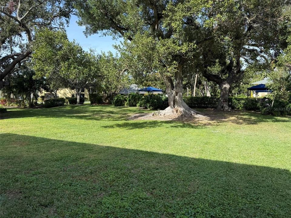 待售: $269,000 (3 贝兹, 2 浴室, 1180 平方英尺)