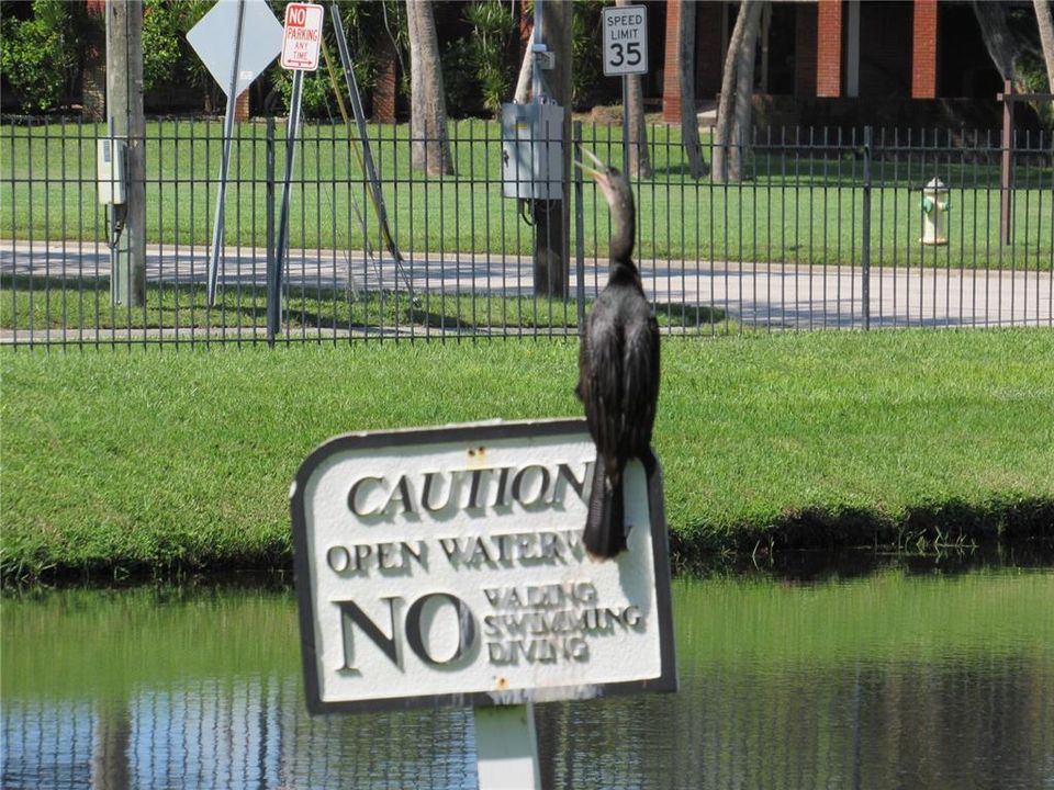 待售: $269,000 (3 贝兹, 2 浴室, 1180 平方英尺)