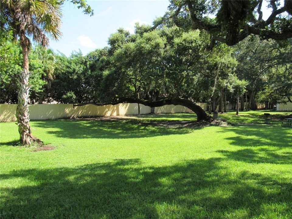 待售: $269,000 (3 贝兹, 2 浴室, 1180 平方英尺)