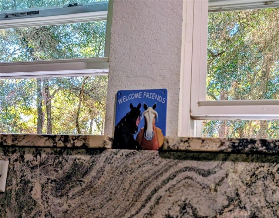 En Venta: $489,000 (1 camas, 1 baños, 1320 Pies cuadrados)