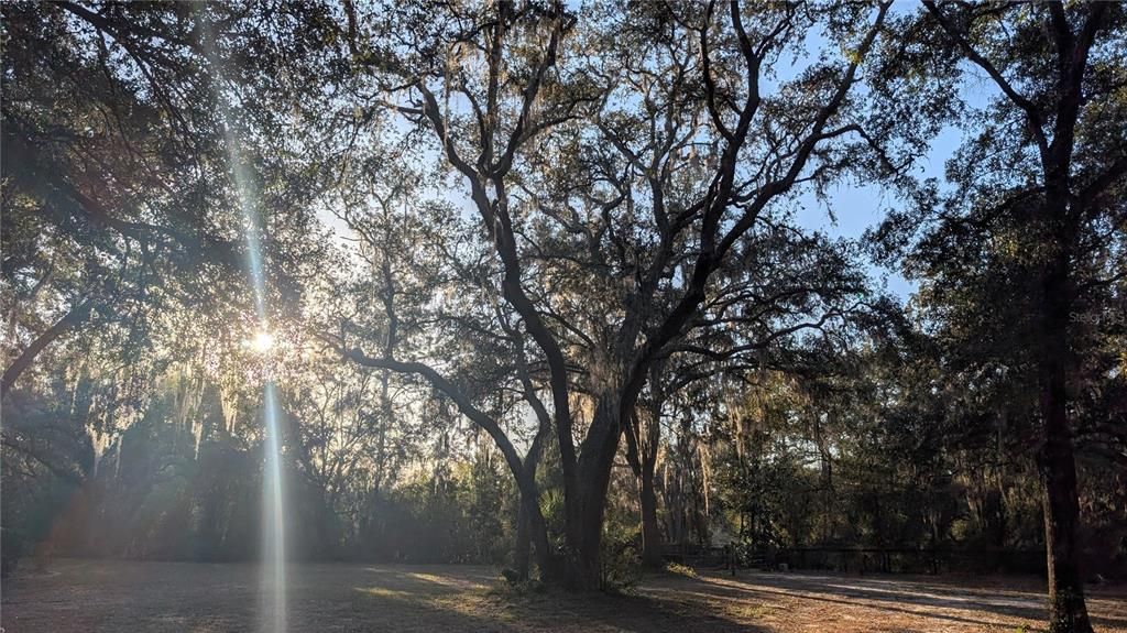 En Venta: $489,000 (1 camas, 1 baños, 1320 Pies cuadrados)