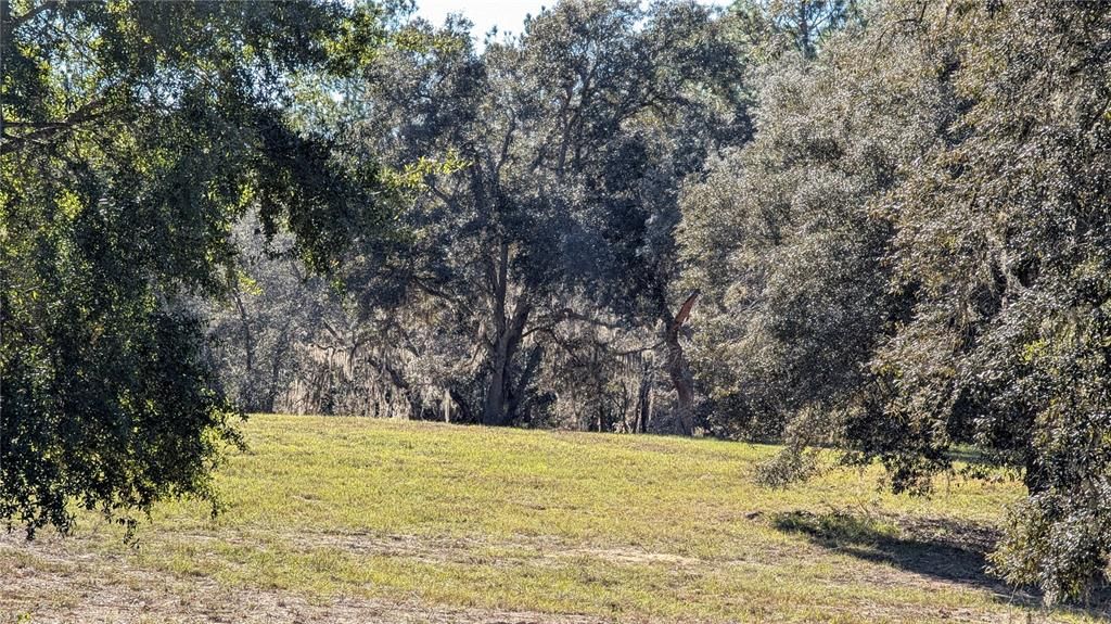 En Venta: $489,000 (1 camas, 1 baños, 1320 Pies cuadrados)