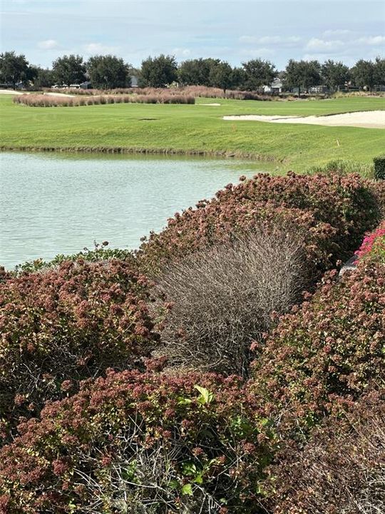 For Rent: $3,100 (3 beds, 2 baths, 1504 Square Feet)