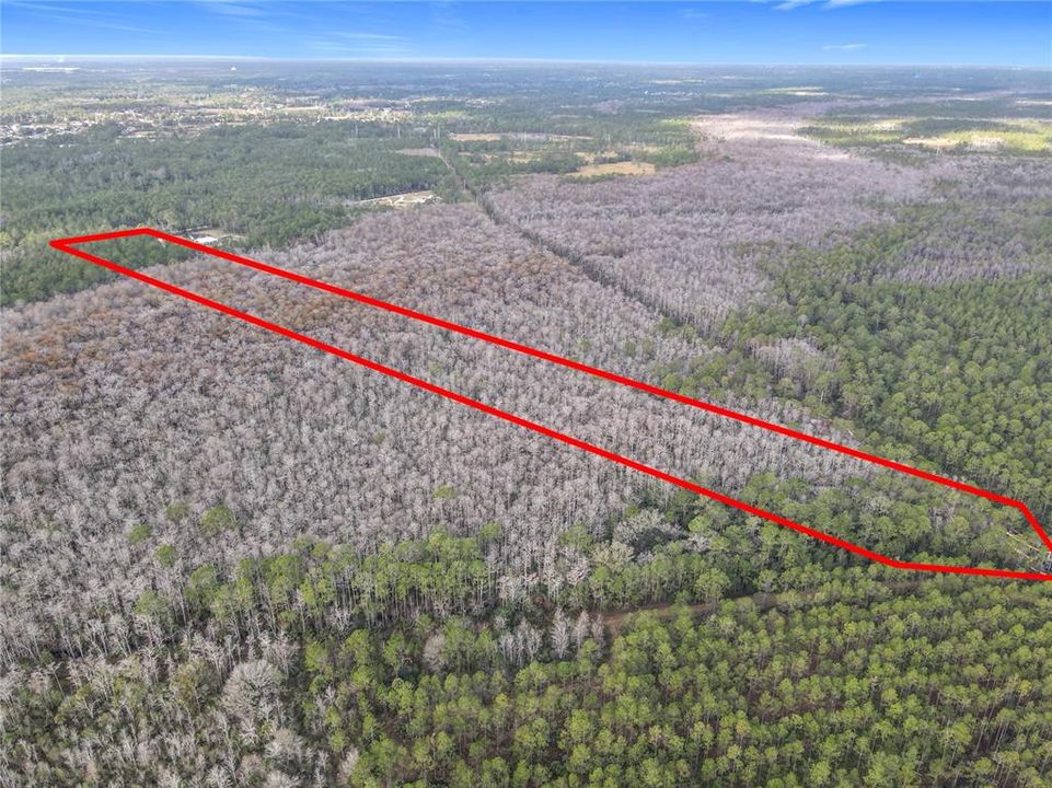 En Venta: $139,900 (19.86 acres)