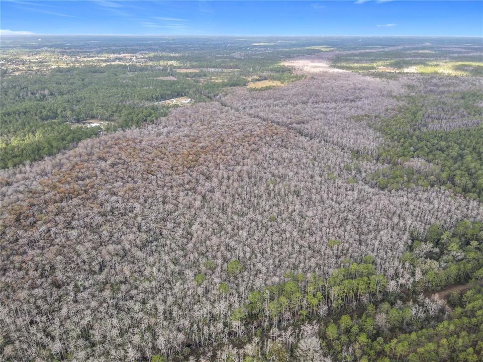 En Venta: $139,900 (19.86 acres)