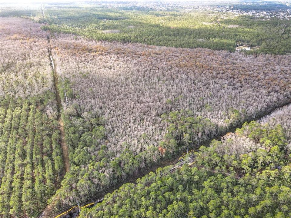 En Venta: $139,900 (19.86 acres)