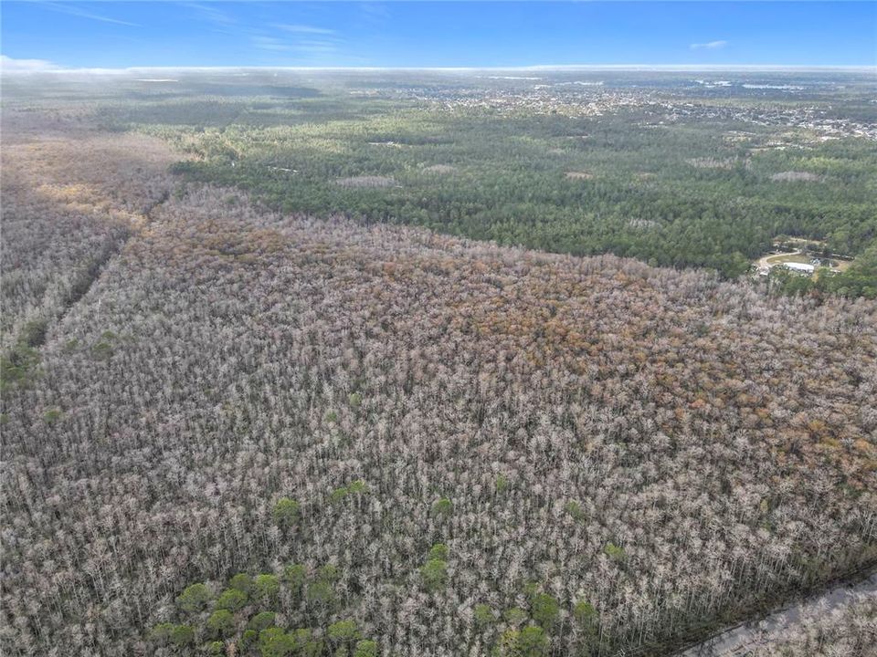 En Venta: $139,900 (19.86 acres)