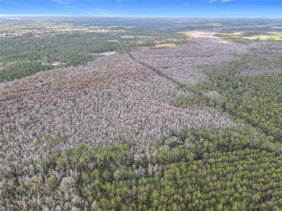 En Venta: $139,900 (19.86 acres)