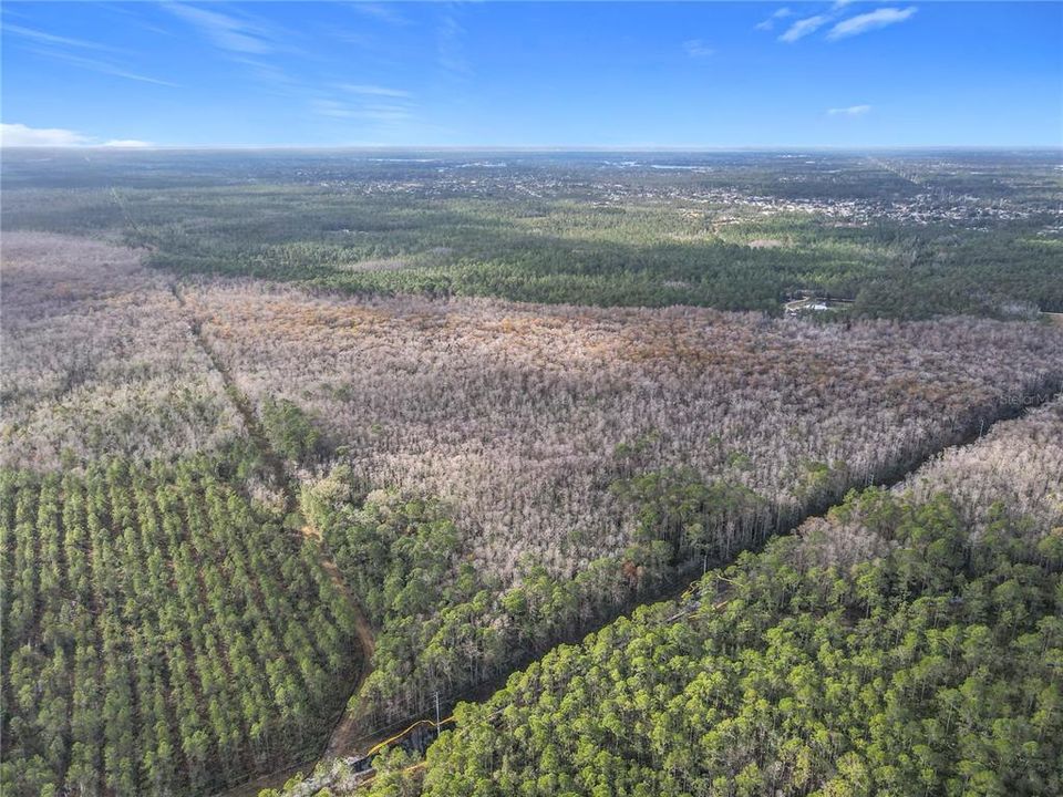 En Venta: $139,900 (19.86 acres)