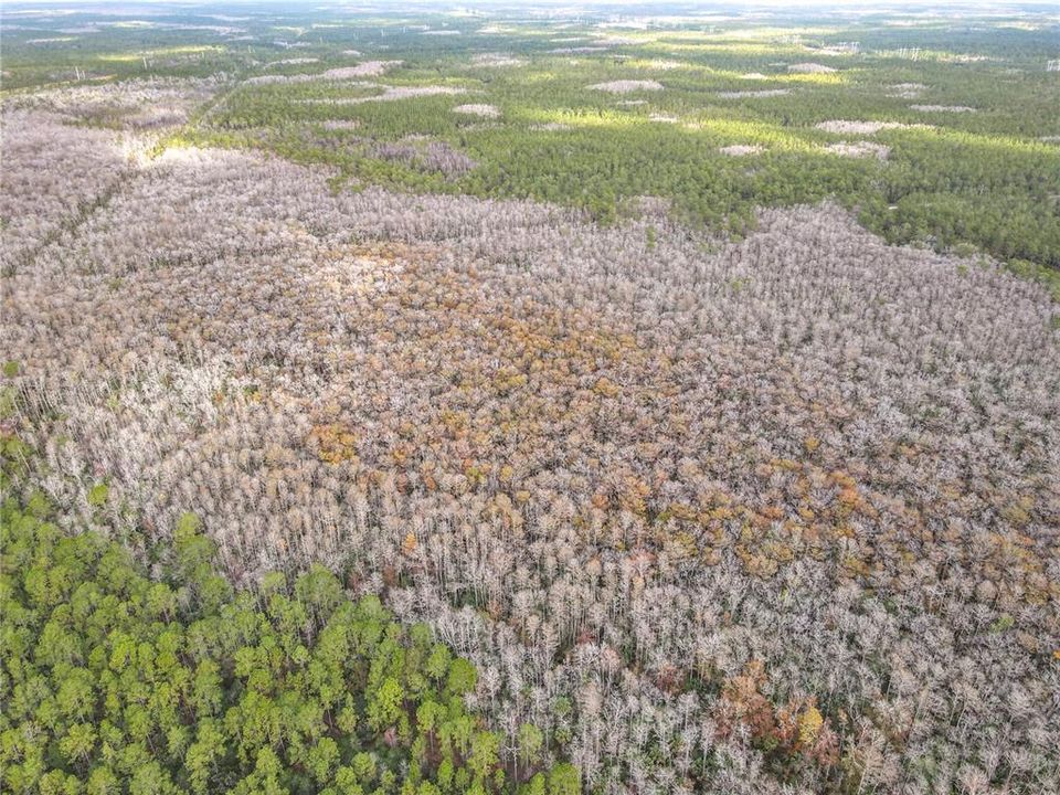 En Venta: $139,900 (19.86 acres)