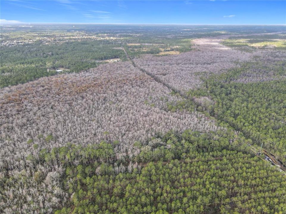 En Venta: $139,900 (19.86 acres)