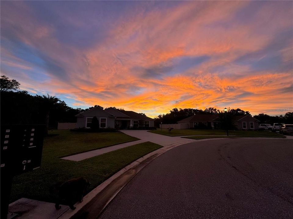 В аренду: $3,000 (3 спален, 2 ванн, 1796 Квадратных фут)