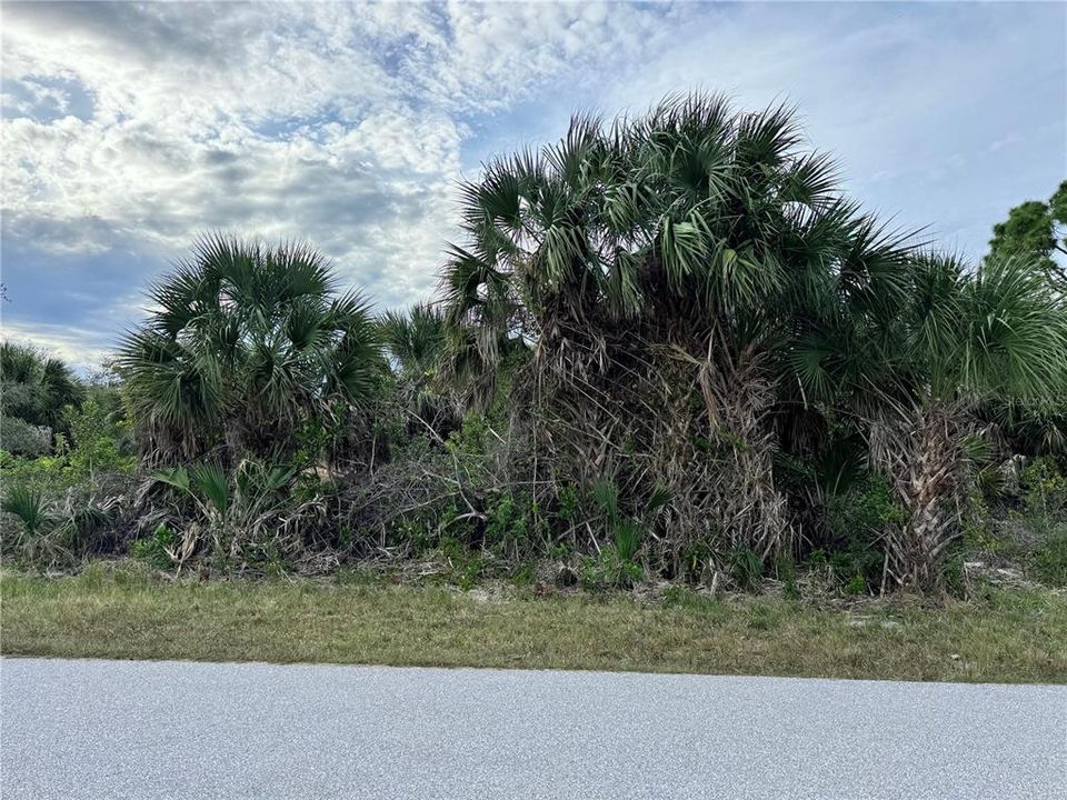 待售: $35,000 (0.23 acres)