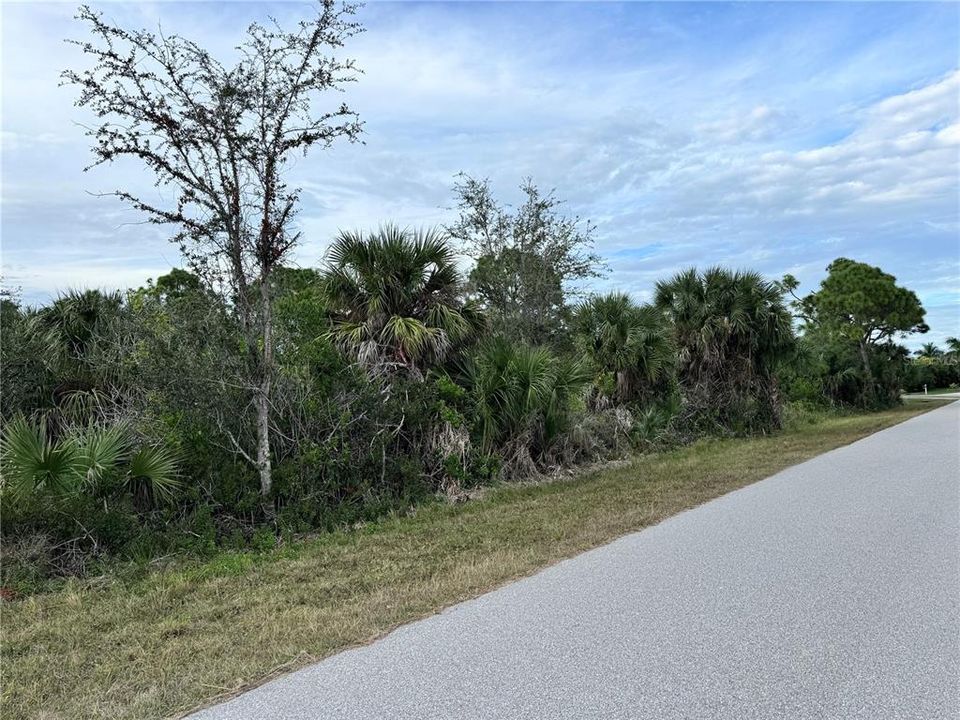 待售: $35,000 (0.23 acres)