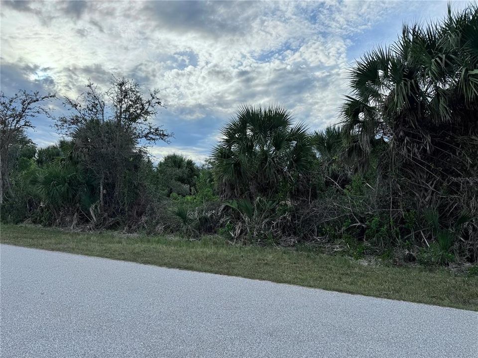 待售: $35,000 (0.23 acres)