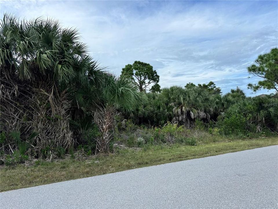 待售: $35,000 (0.23 acres)