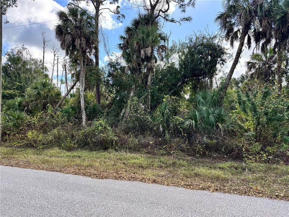 待售: $23,000 (0.23 acres)