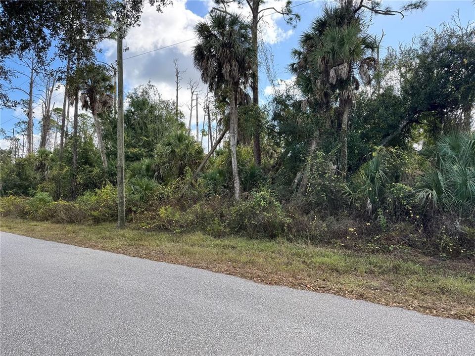 待售: $23,000 (0.23 acres)