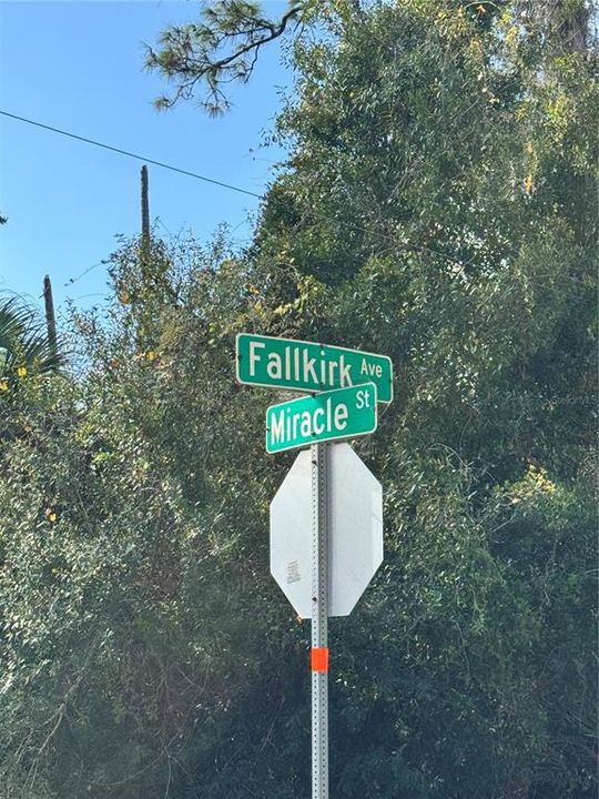 待售: $23,000 (0.23 acres)