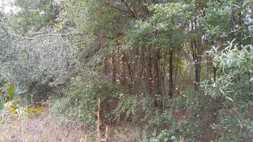 For Sale: $1,300,000 (3.26 acres)