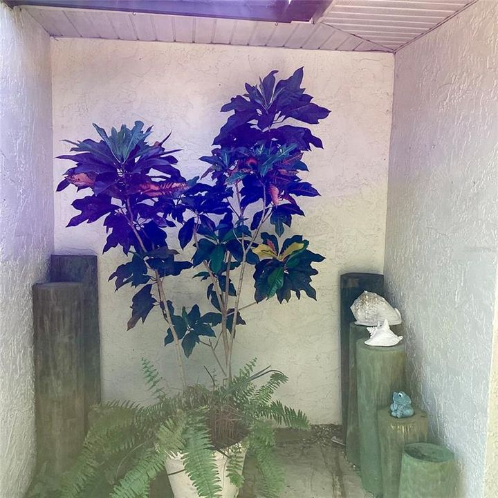 待售: $450,000 (3 贝兹, 2 浴室, 1811 平方英尺)