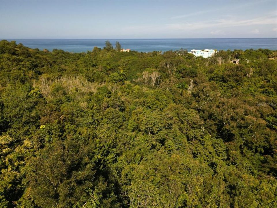 待售: $225,000 (0.67 acres)